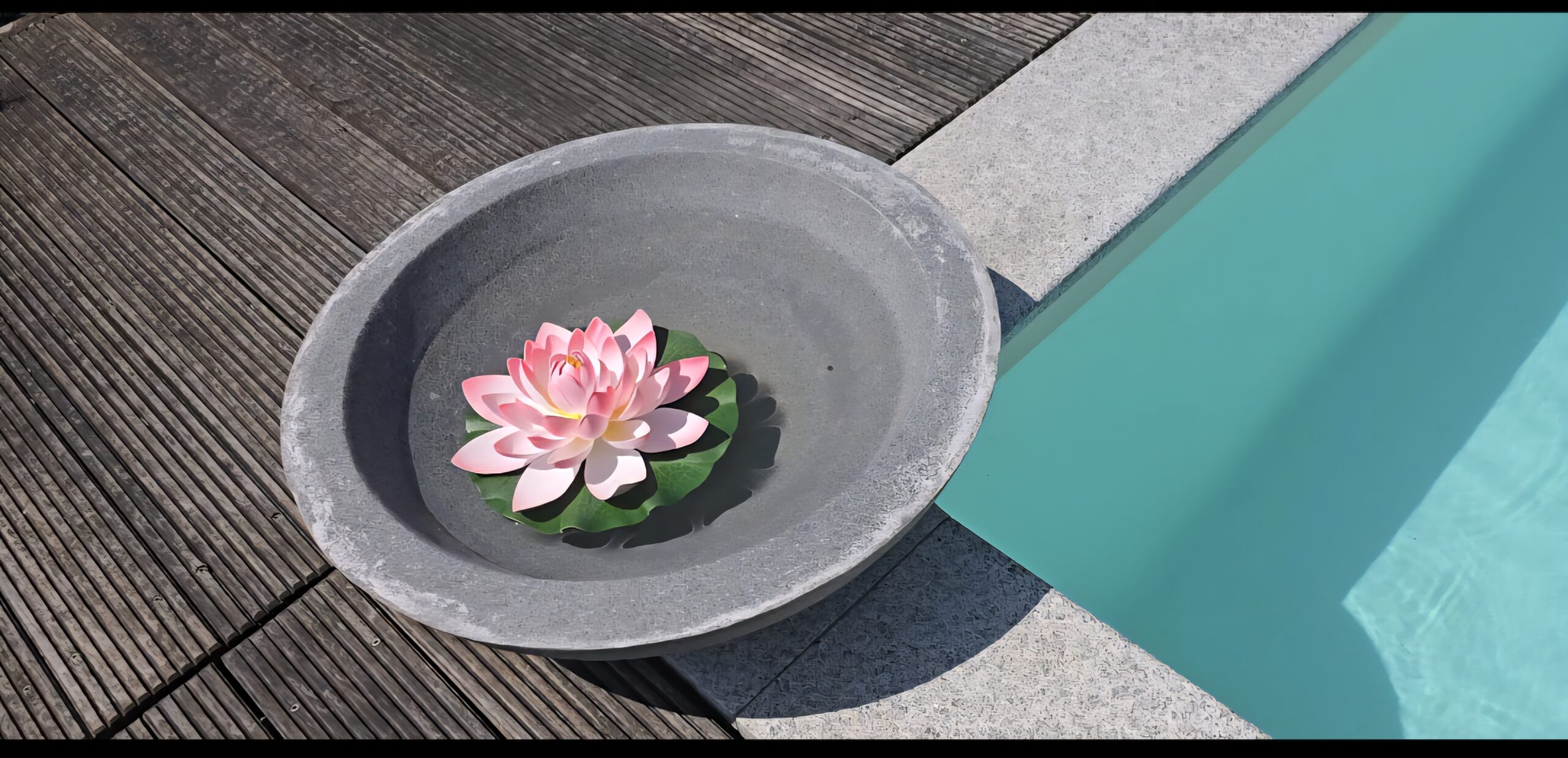 Pool 1 Teichrose am Pool denken lenken Jennifer Schwarz Großaitingen